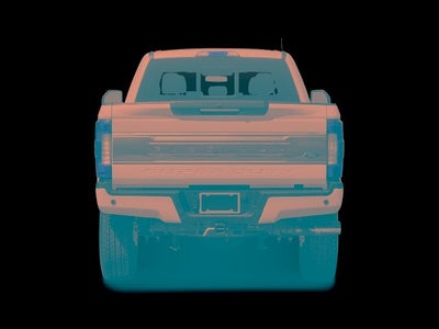 2019 Ford Super Duty F-250 SRW Platinum